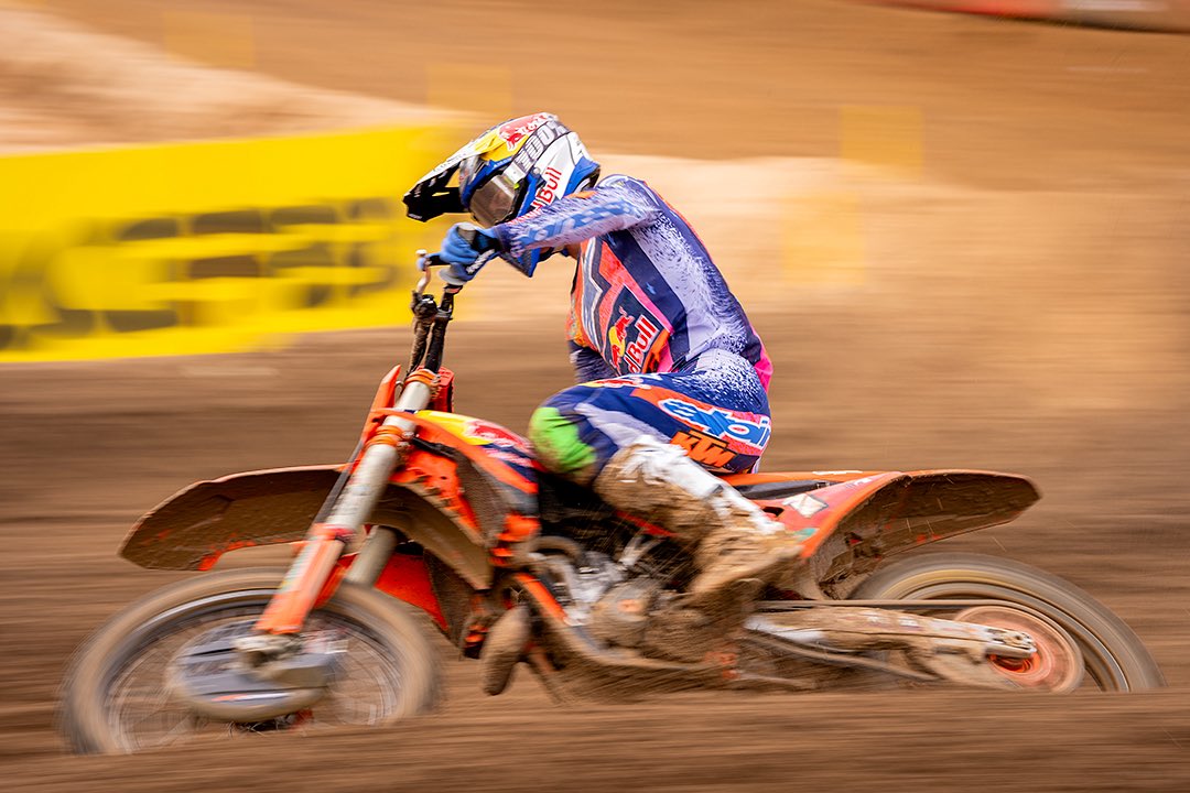 Francisco Romero I WildLife Photographer tweet media