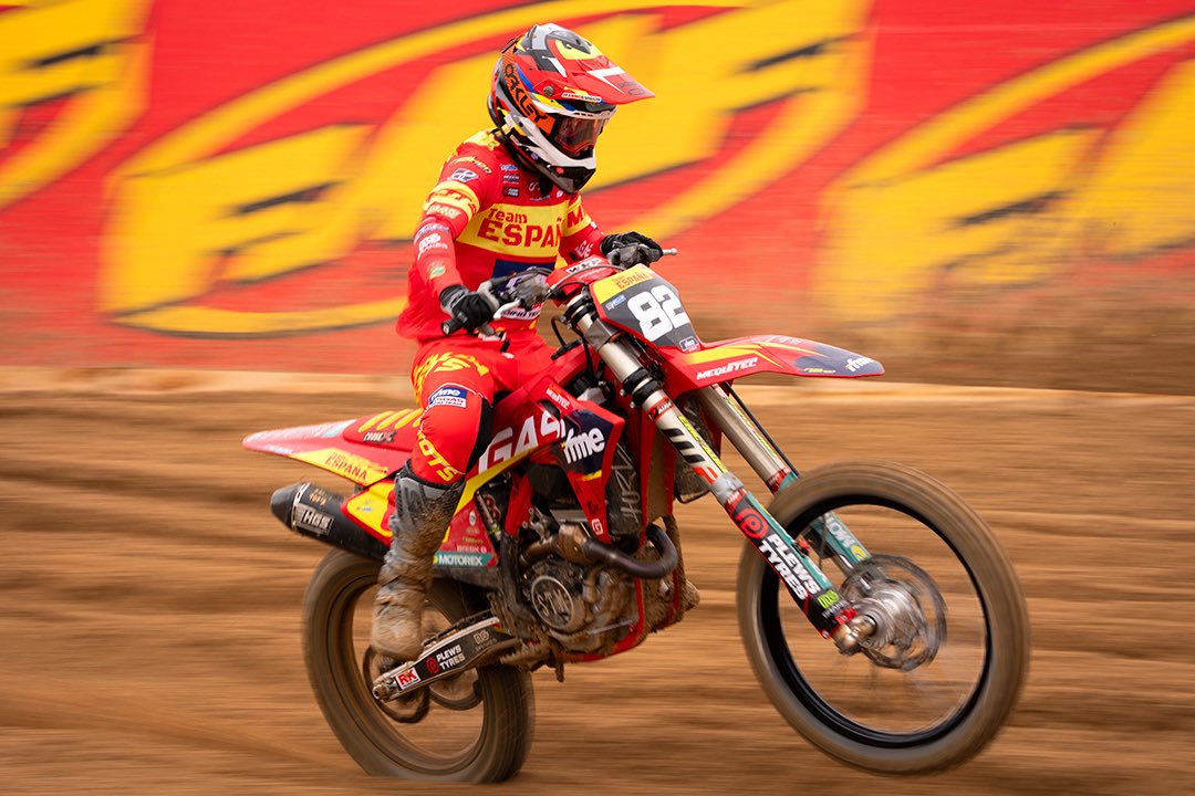 Francisco Romero I WildLife Photographer tweet media