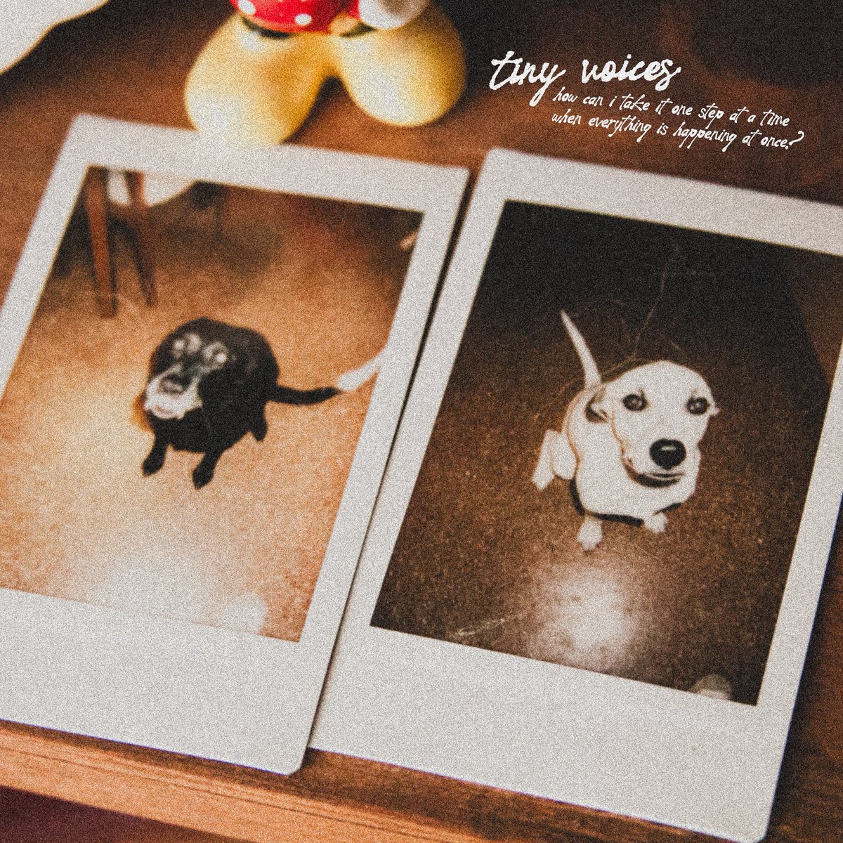 Tiny Voices 🚙 tweet media