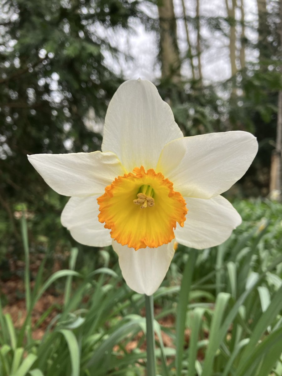 Beautiful Garden tweet media