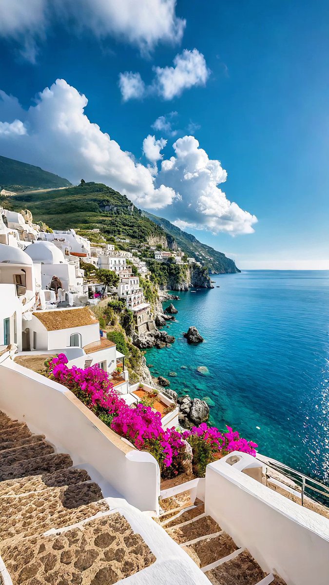 Views and Travel tweet media