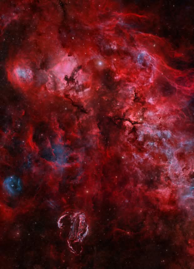 The Science Post tweet media