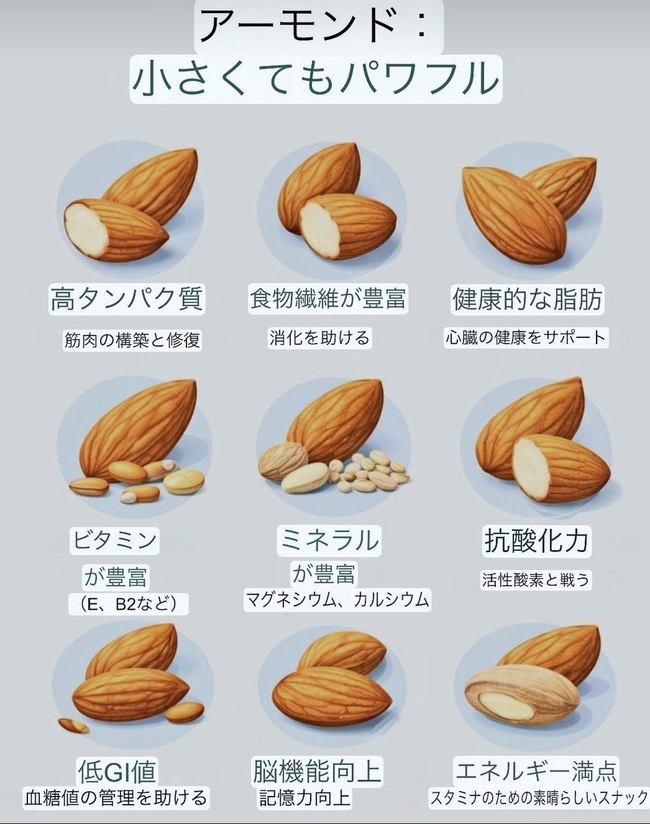 macaron macaron tweet media