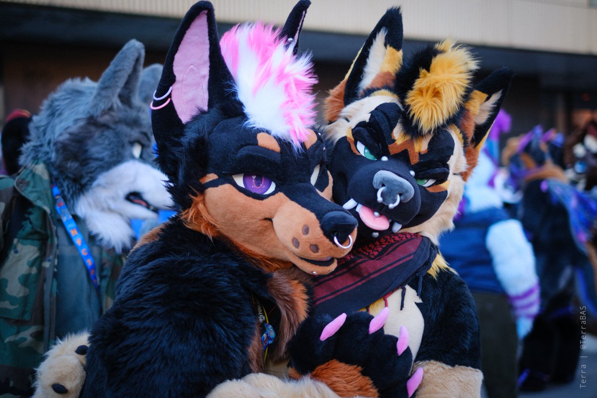 Bropix 🔜 DoggyWeekend Berlin tweet media