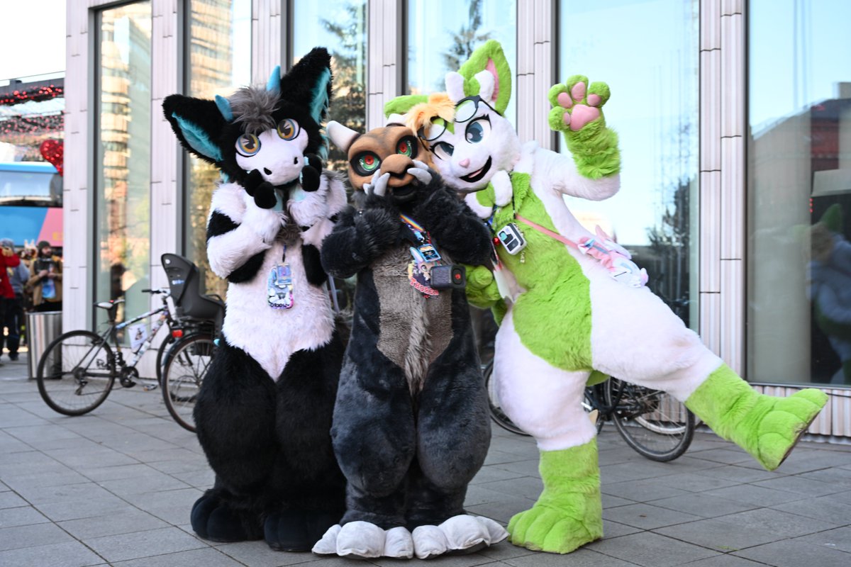 Howling Celtera🔜Furciety🔜Dokomi🔜EF tweet media