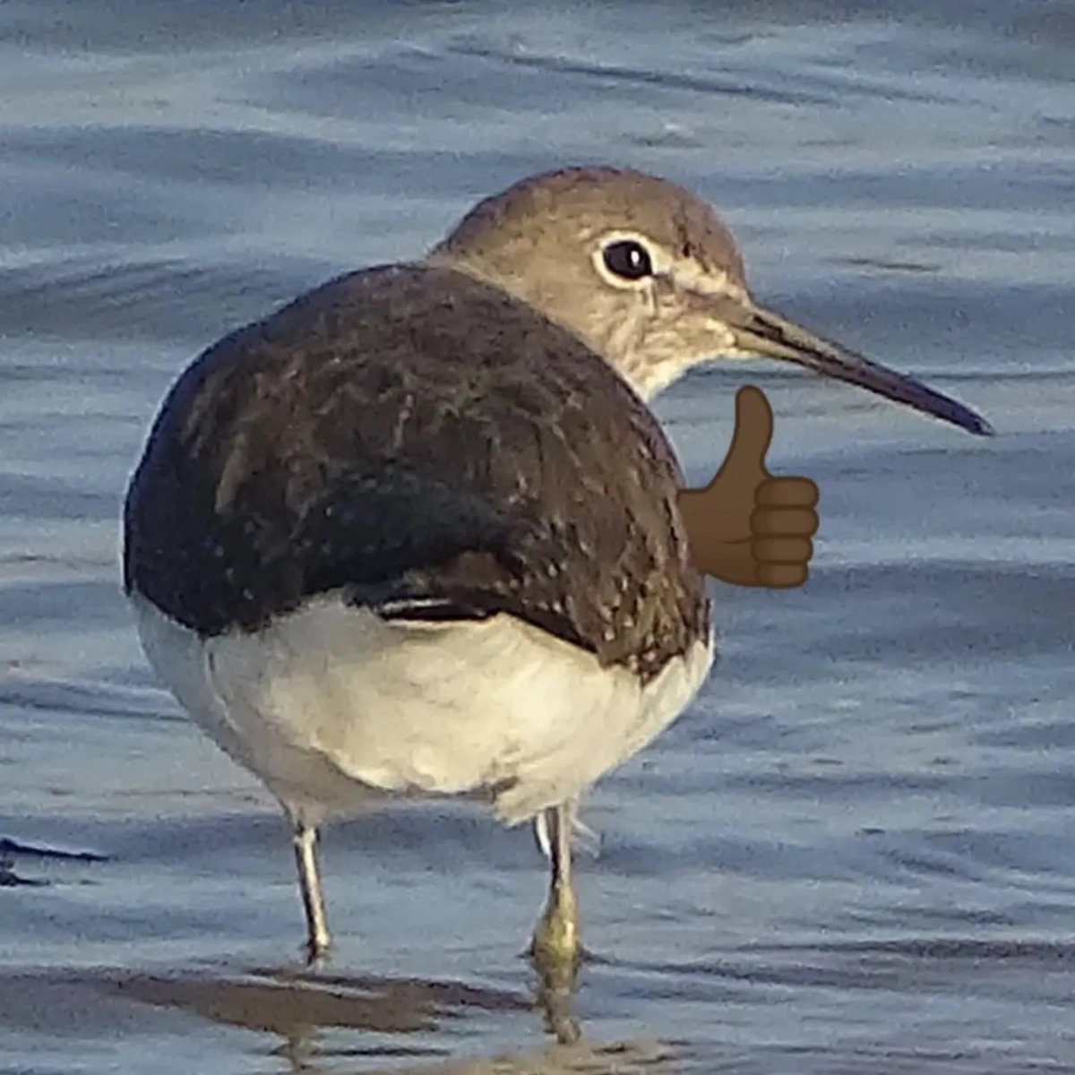 kuonyuma tweet media