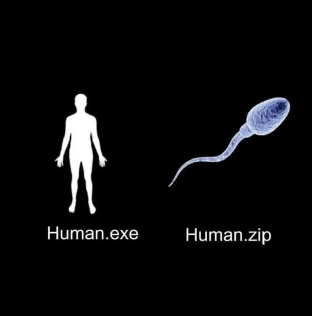 Programmer Humor tweet media