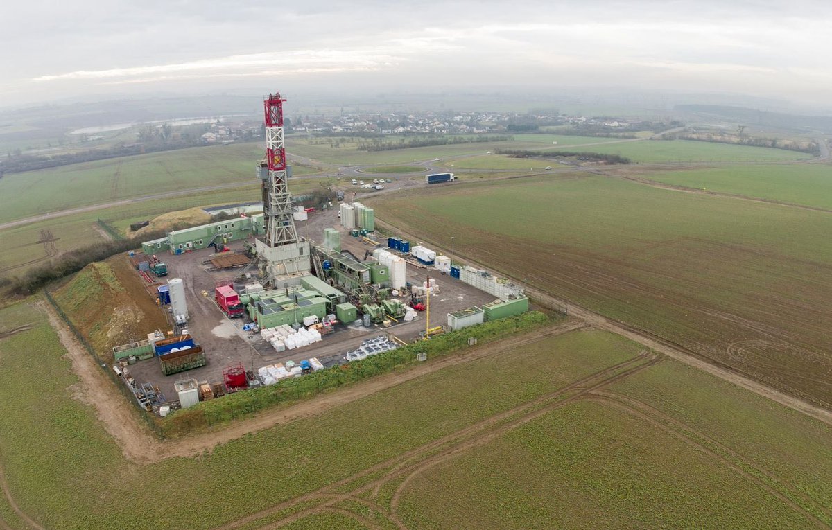 Little Think Tank tweet media