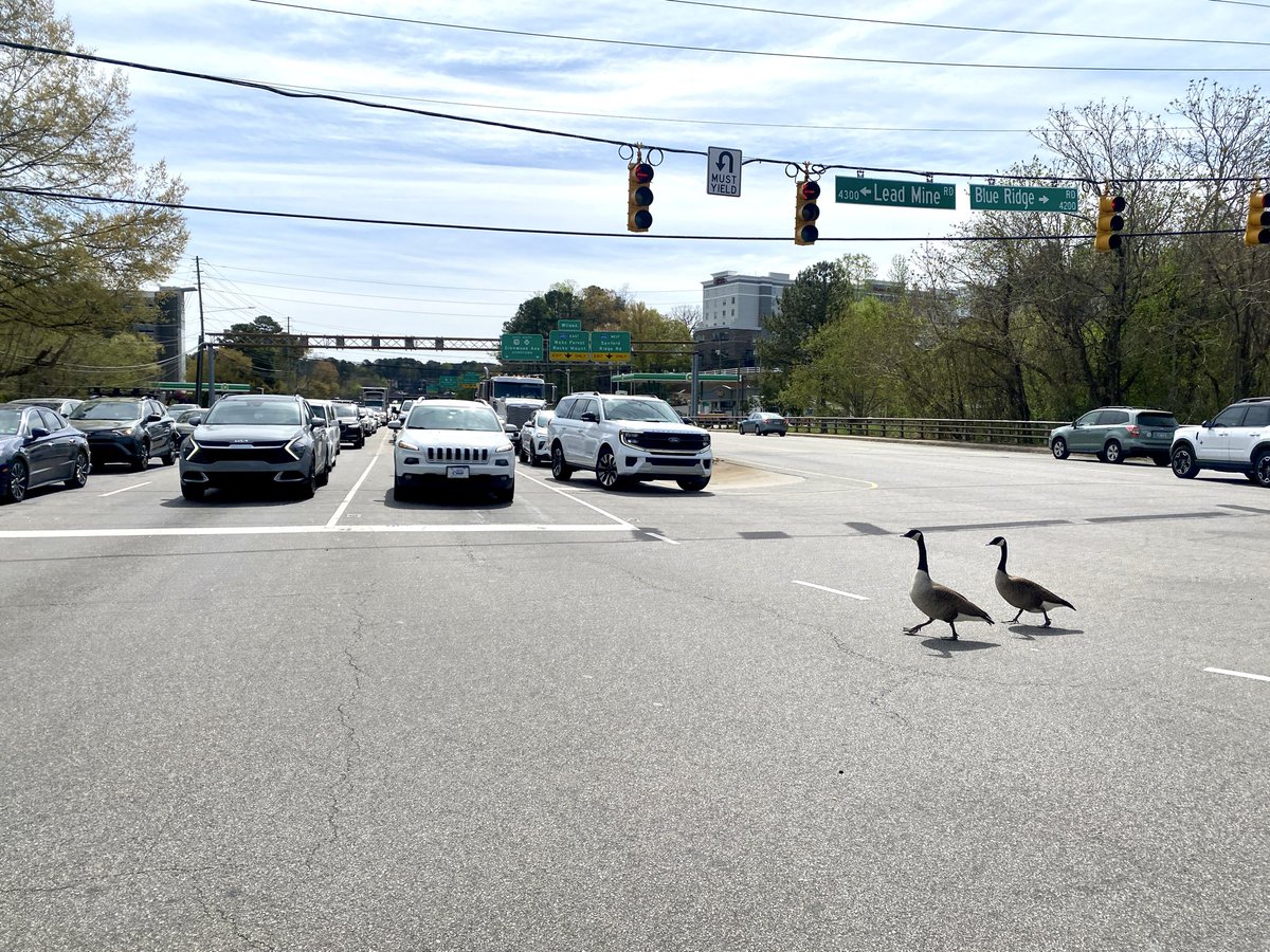 Mike Legeros tweet media