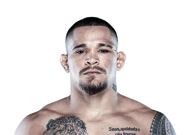 UFC Fight Tracker tweet media