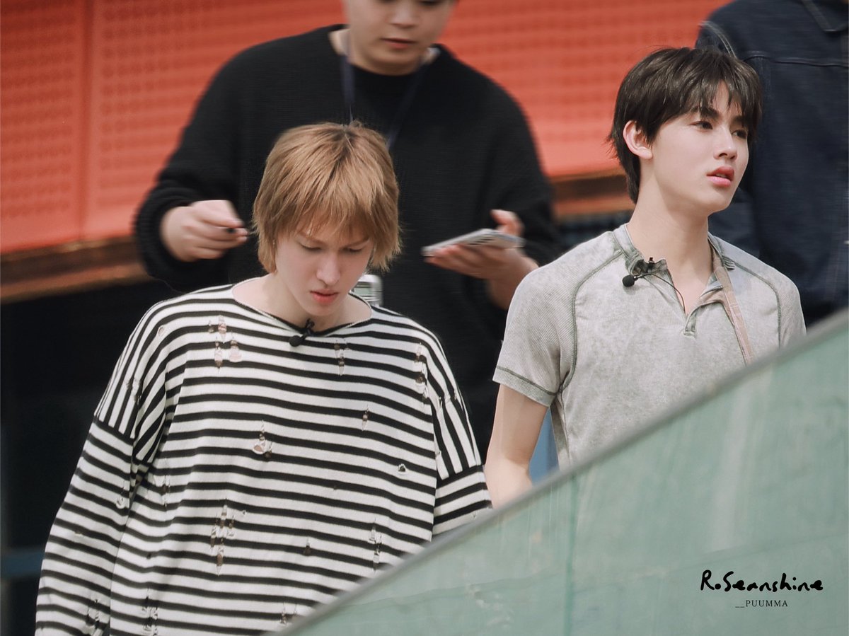 RoSeanshine tweet media