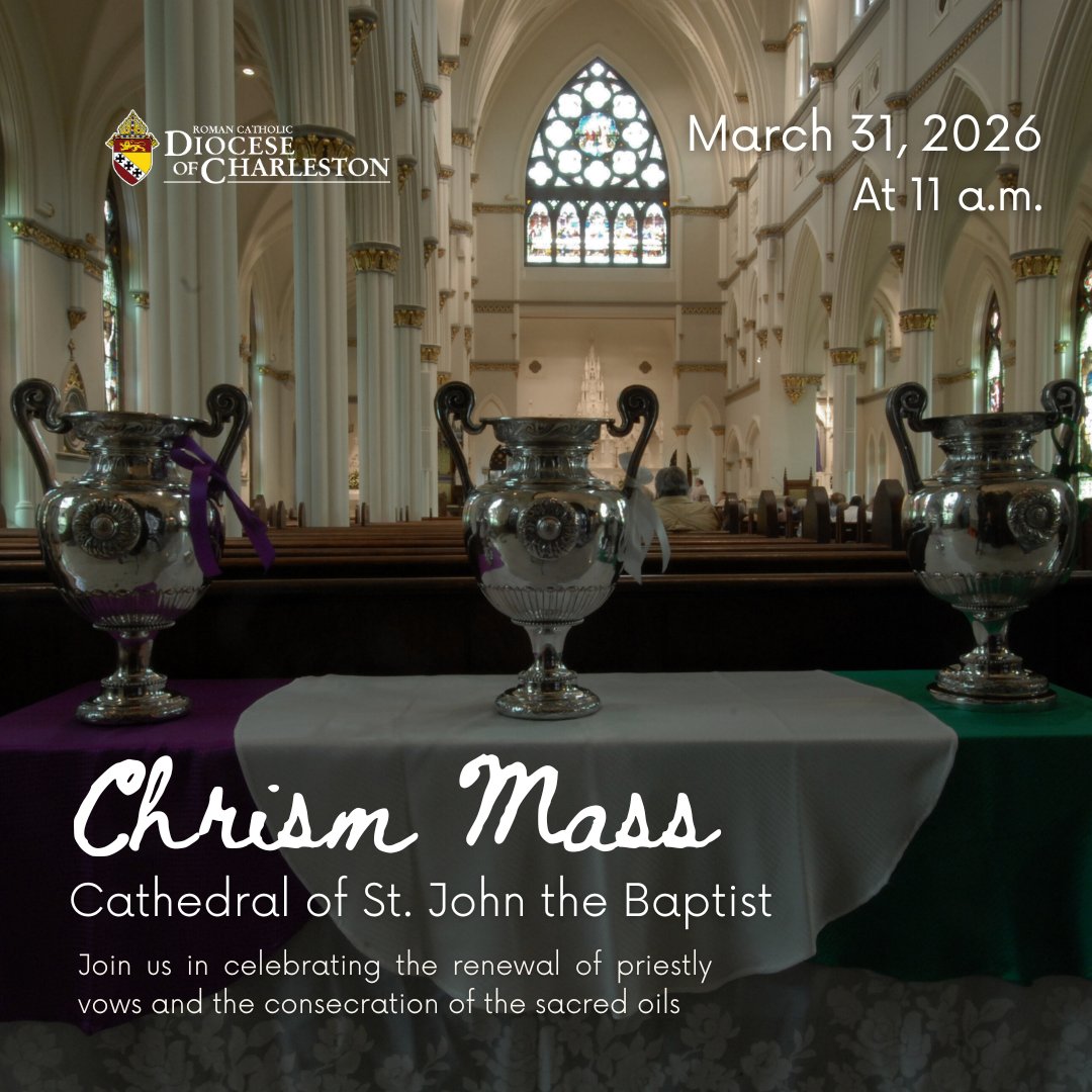 Diocese of Charleston tweet media