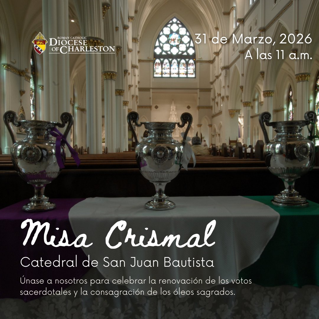 Diocese of Charleston tweet media