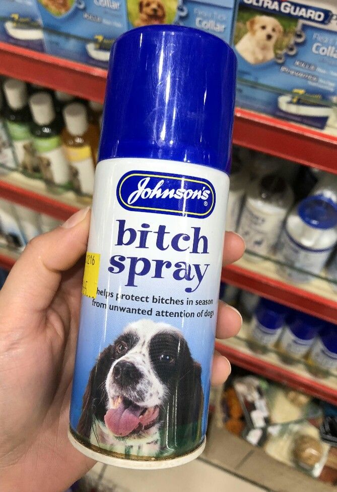 AmericaReal tweet media