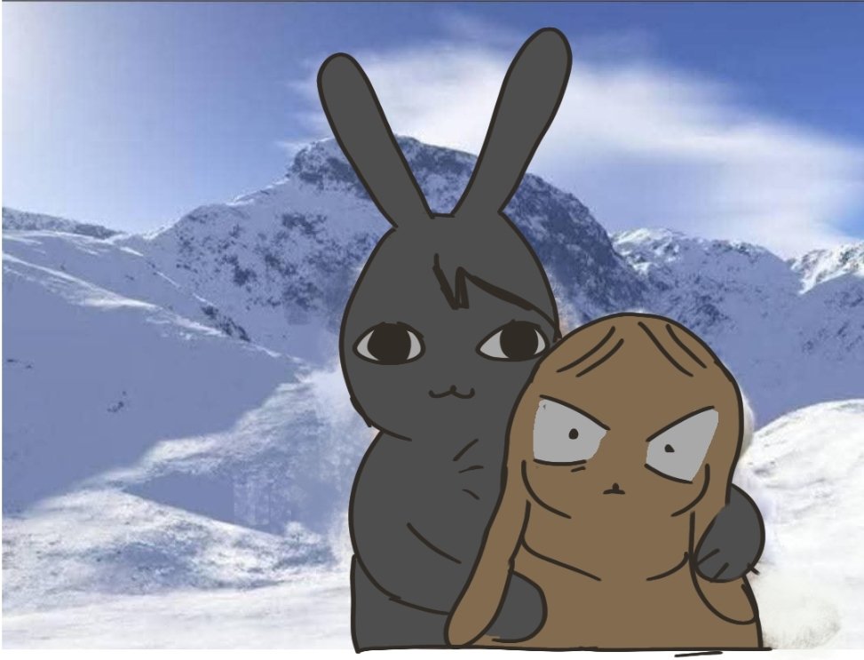 Hanaam203r tweet media