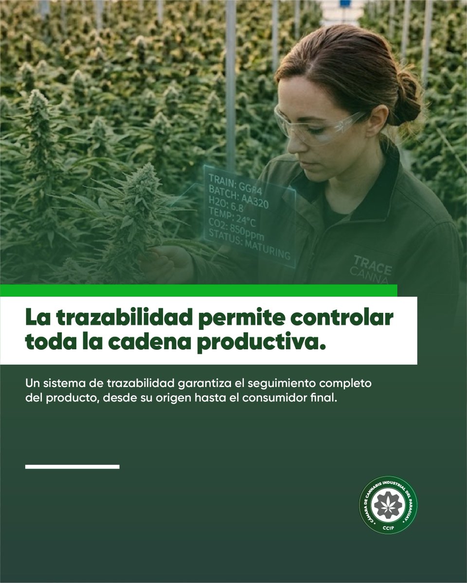 Cámara de Cannabis Industrial del Paraguay tweet media