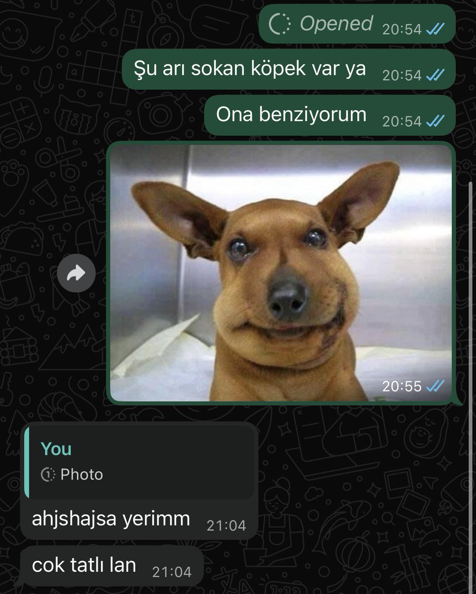 Alina ☀️ tweet media