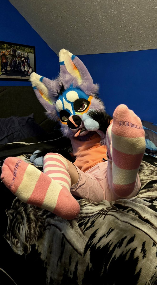 Sherbert tweet media