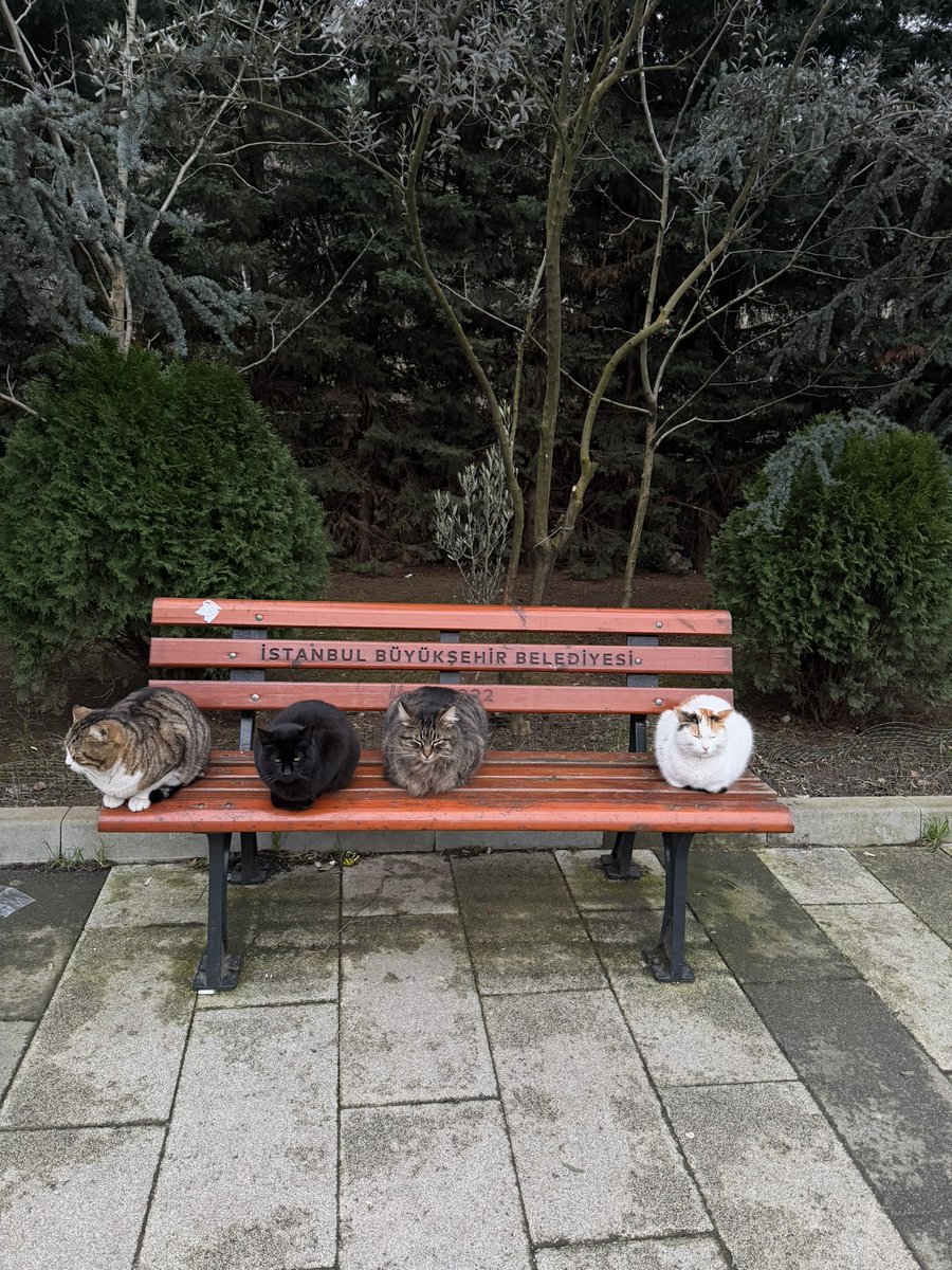 ekrem seçim tweet media