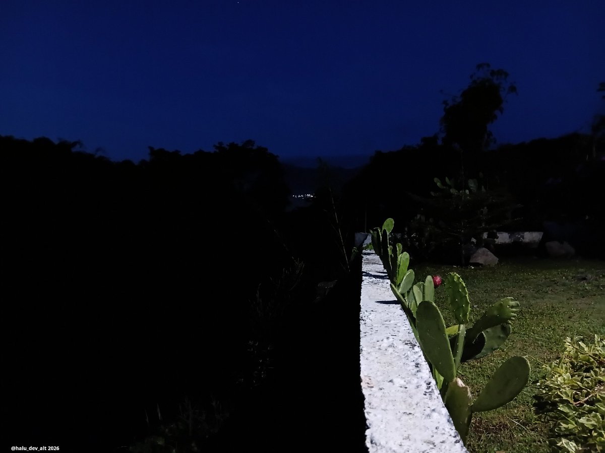 Rahman 🍉🫂 tweet media