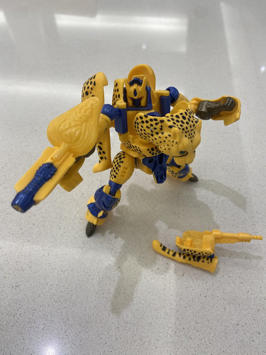 Primal 🦍 🇨🇦 tweet media