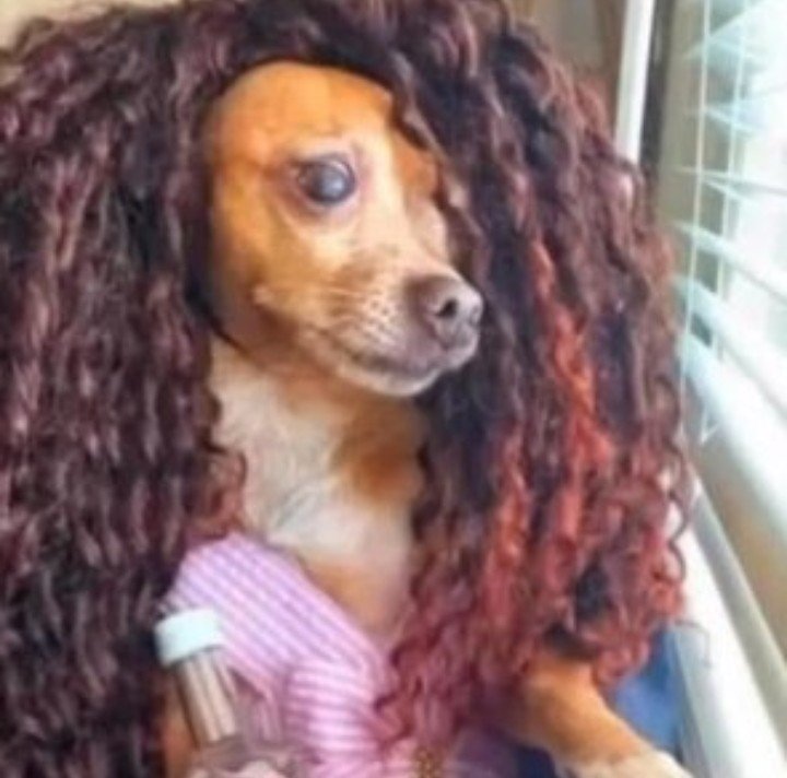 Weeh Mzee™ tweet media