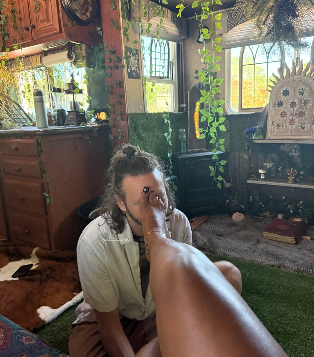 princess tweet media