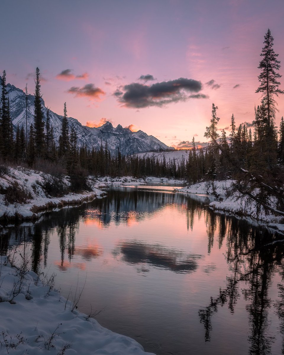 Dan the Man tweet media