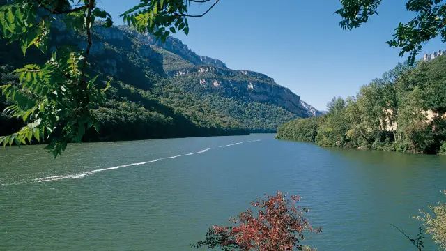 Guías de España tweet media