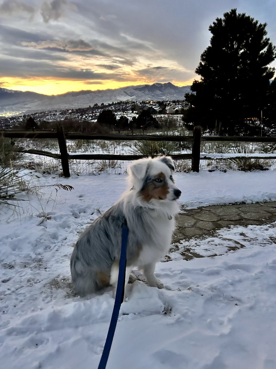 Beth Cavete tweet media