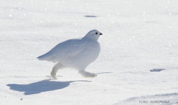 illumi of shedtwt 📧 tweet media