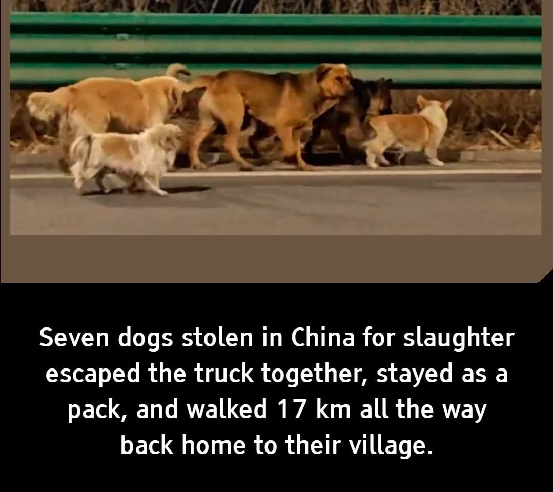 SriSathya tweet media