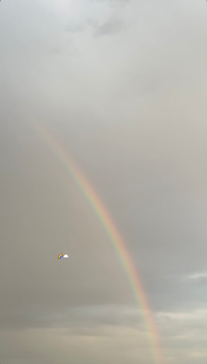 الــميث . tweet media