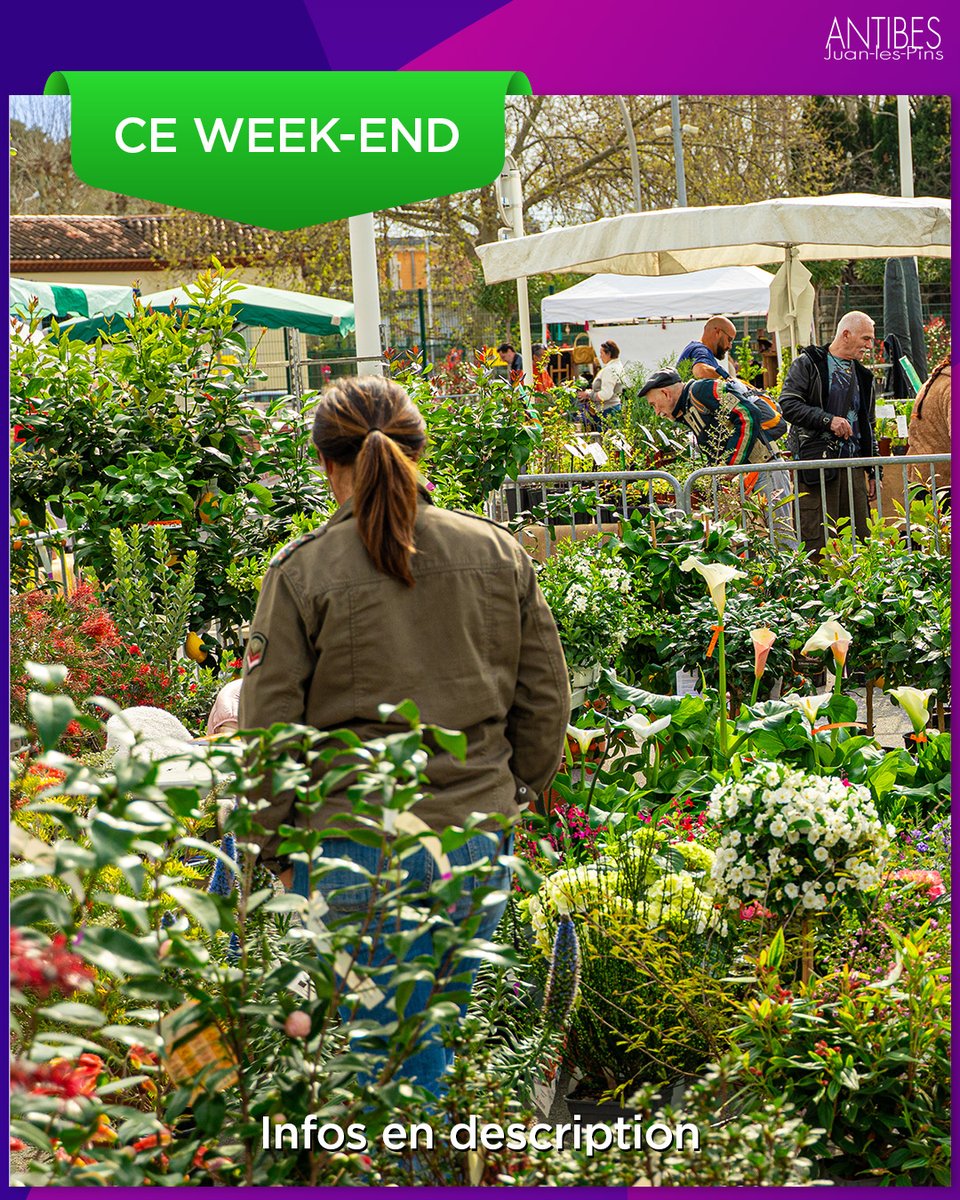 Antibes JLP tweet media