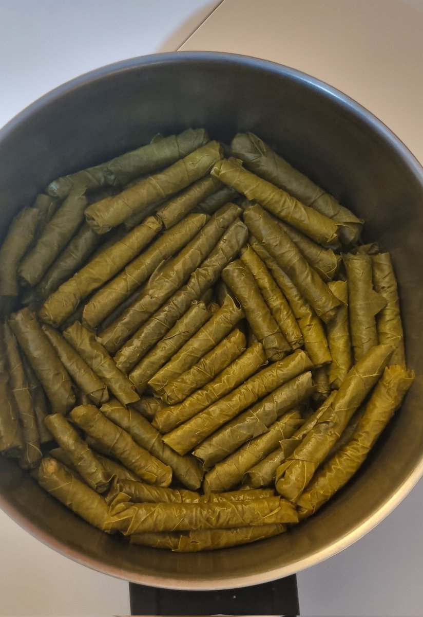 Manolya Gürocak tweet media