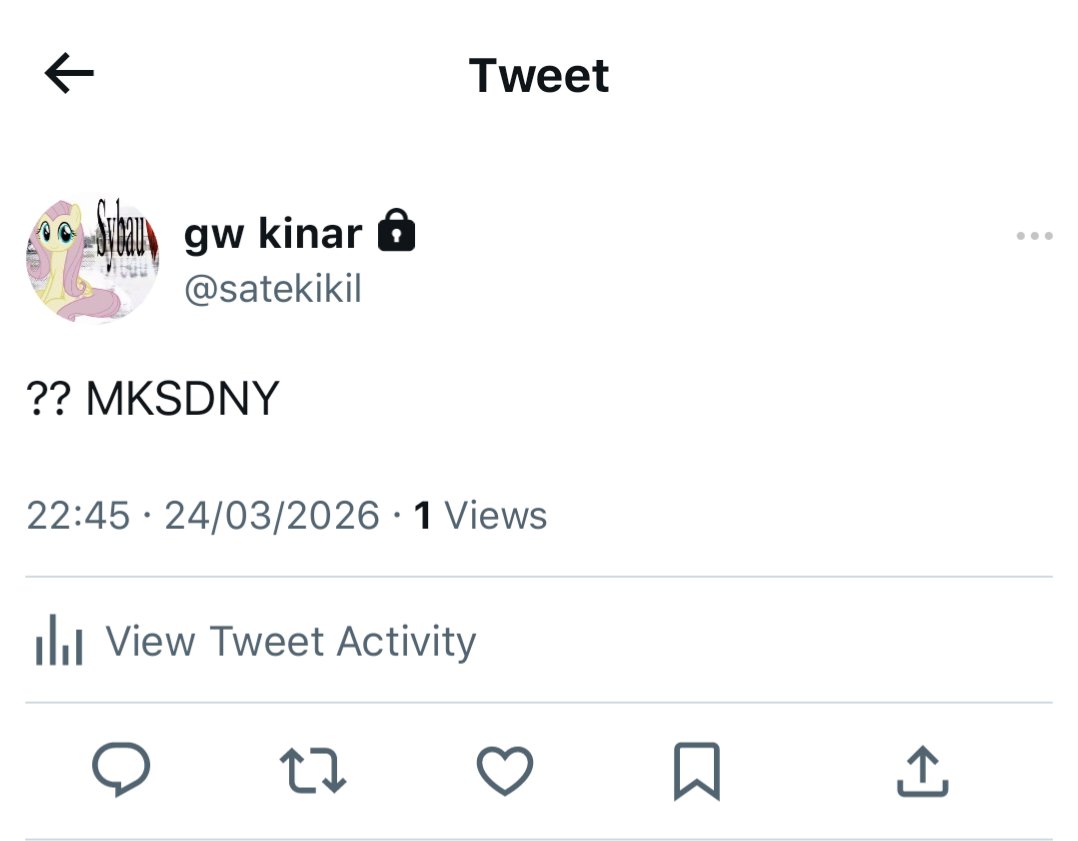 mishy 🪽 tweet media