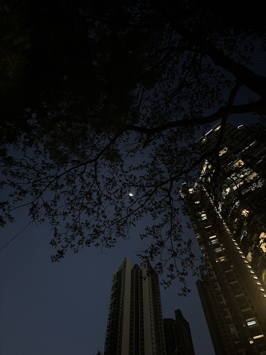 SassyAss😈 tweet media