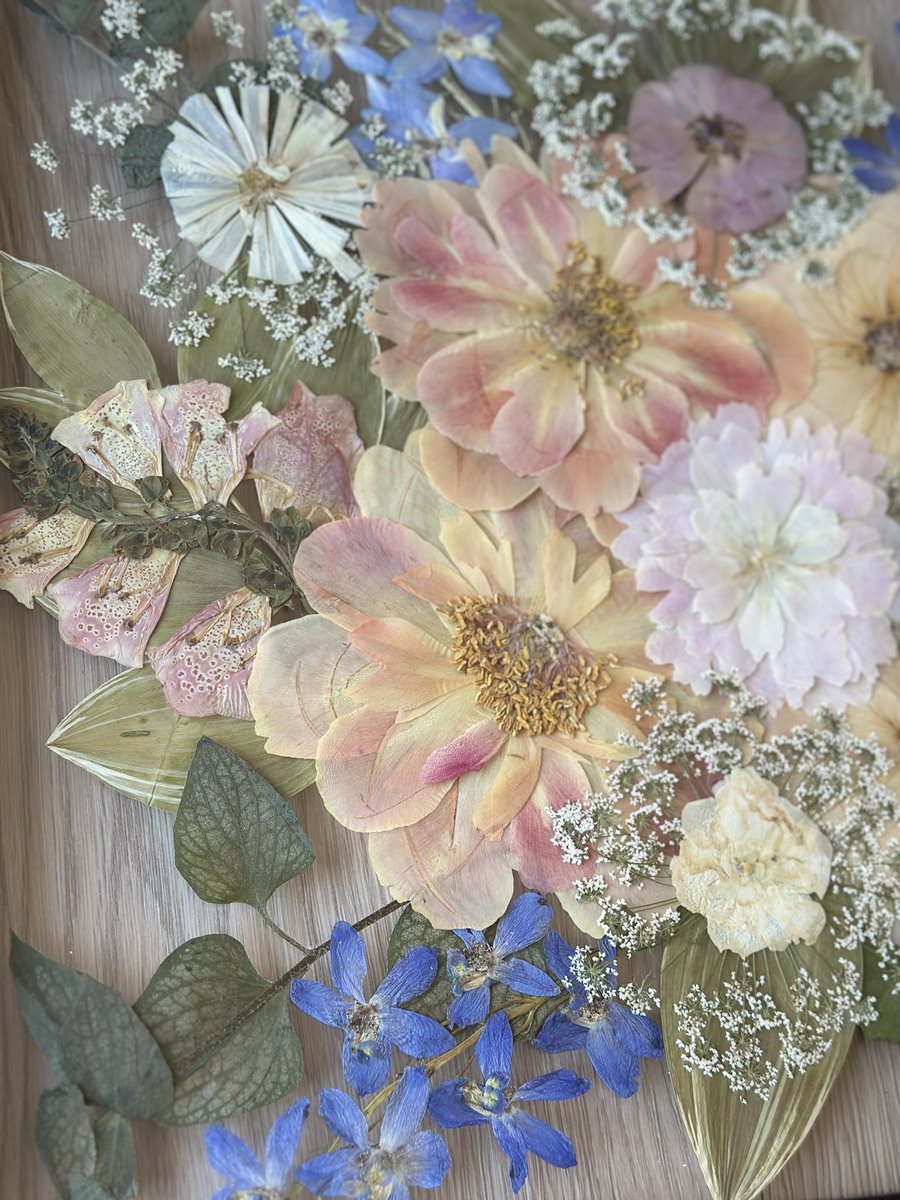 messicA✨ tweet media