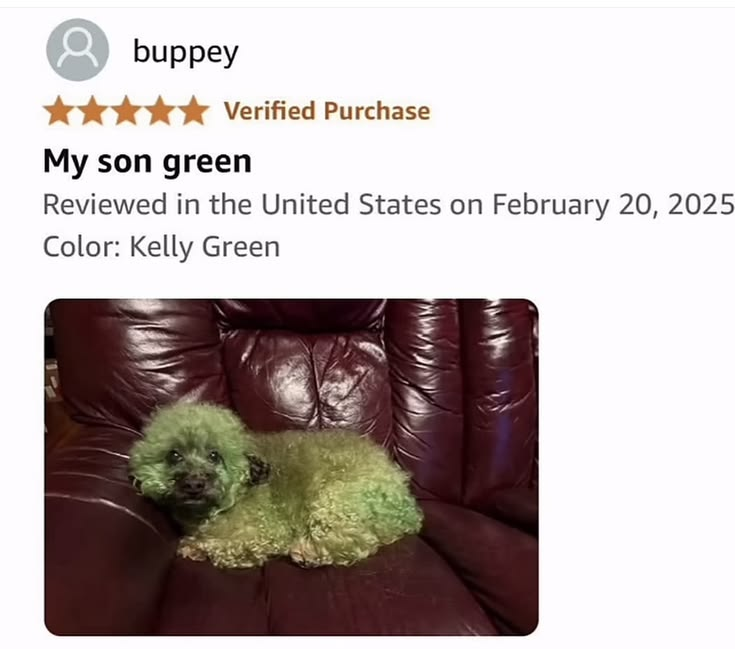 𝖈𝖍𝖆𝖇𝖆𝖟𝖎𝖙𝖊 tweet media