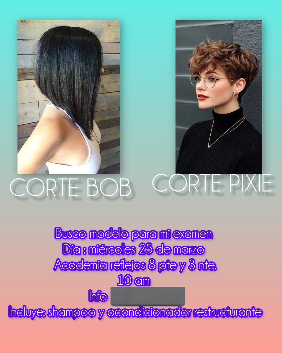 SERENAPETTITE tweet media