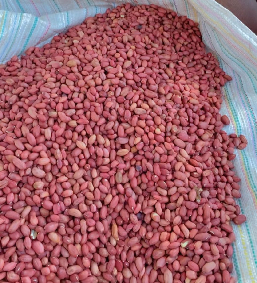 Thomas-Josephat tweet media