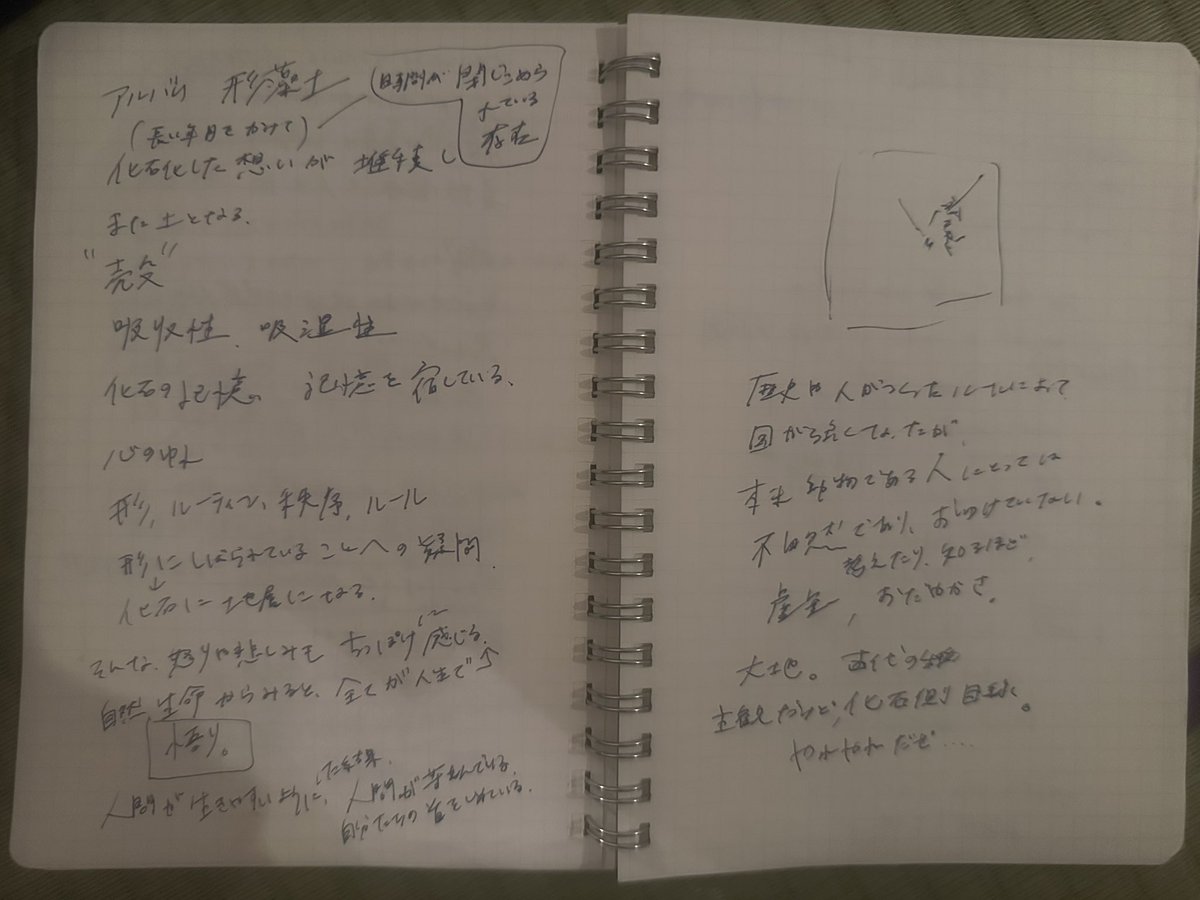 ACAねこスキル (ずっと真夜中でいいのに。) tweet media