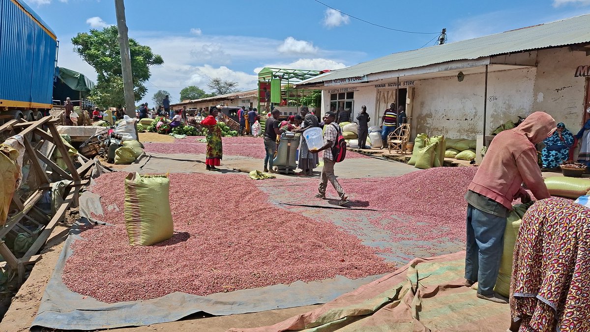 Thomas-Josephat tweet media