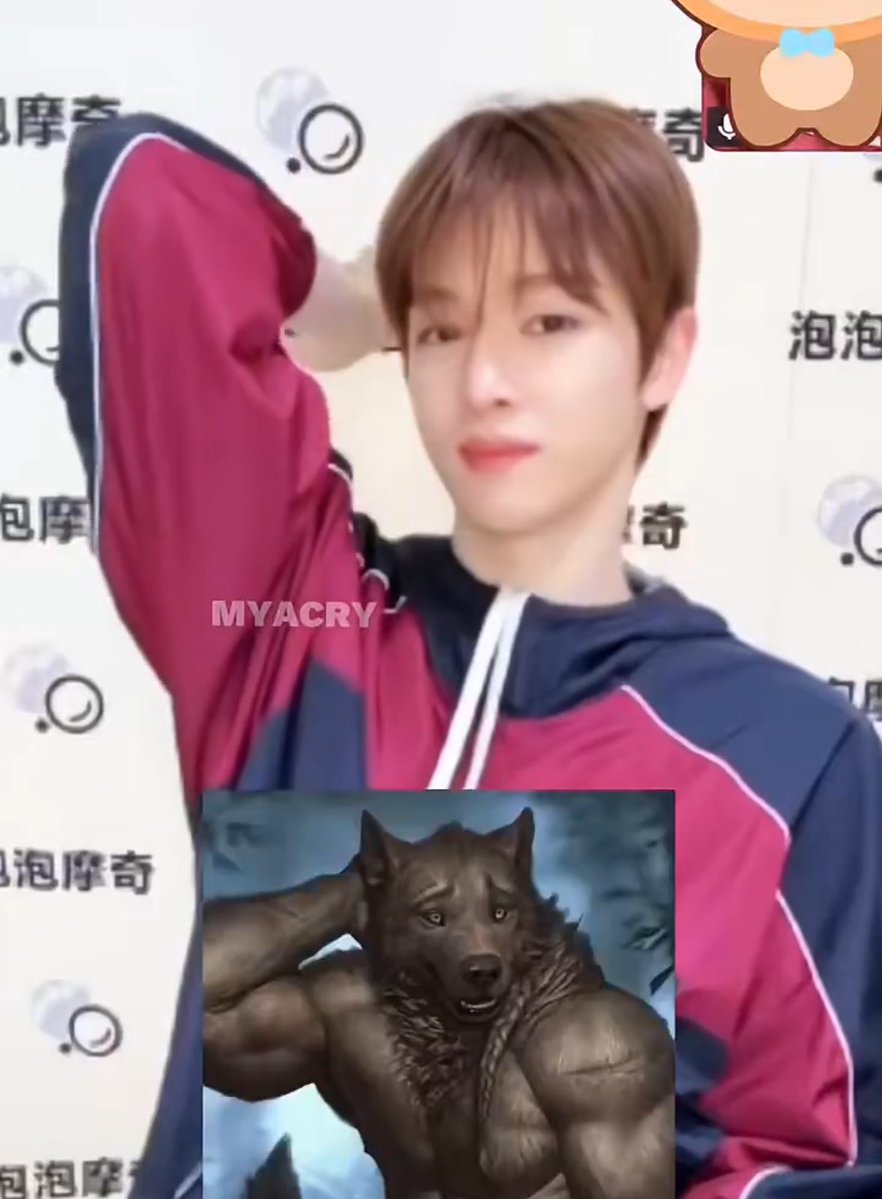 จองบี้ tweet media