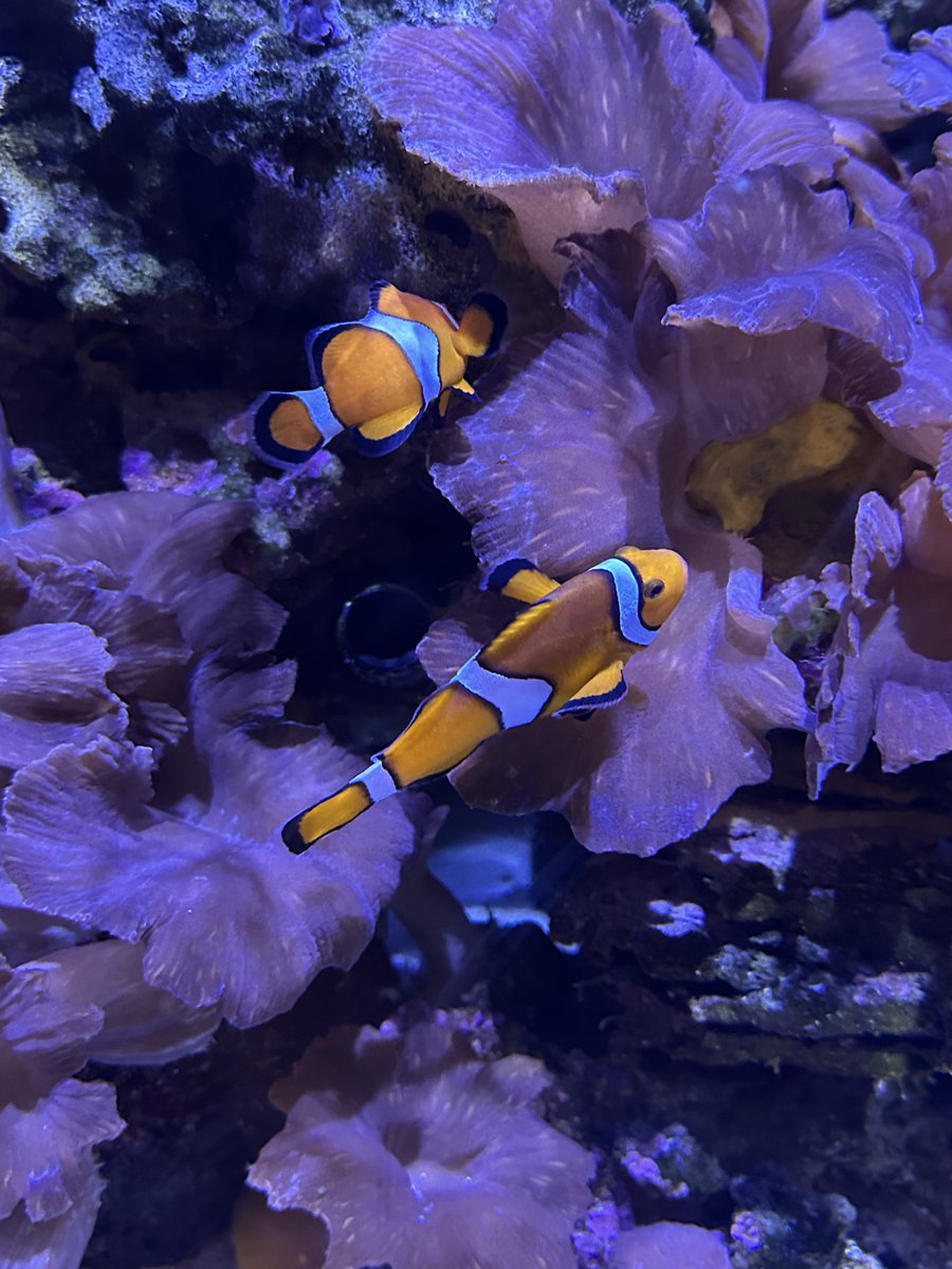 Christopher 🍀 tweet media