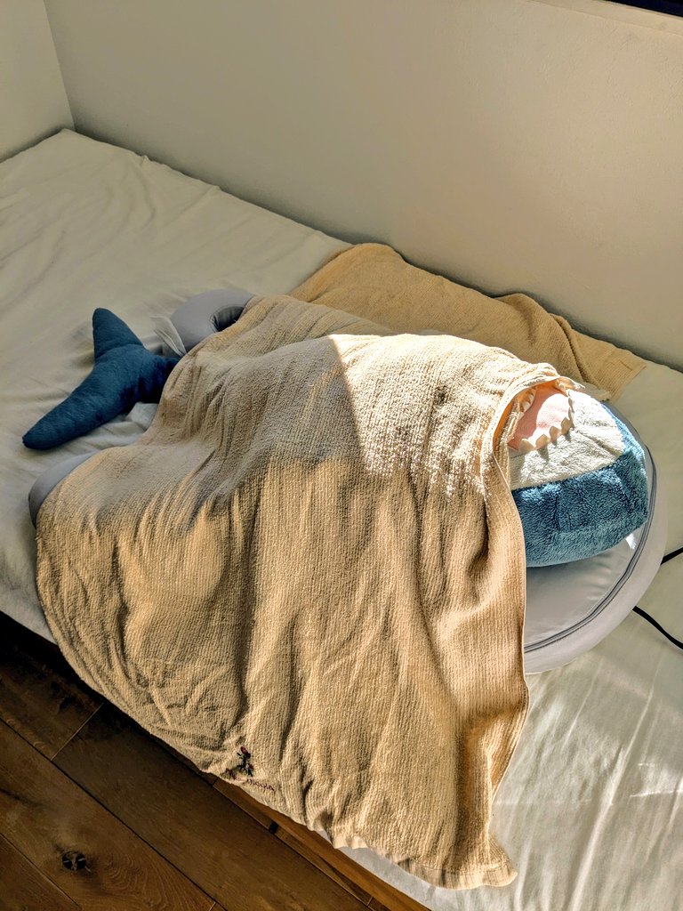 (「・ω・)「虎@住宅街で鶏とヤギ飼ってる tweet media