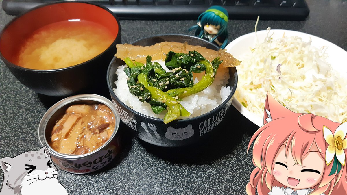 ハルねこハルにゃん 💐🐾@ゆるふわ猫 tweet media