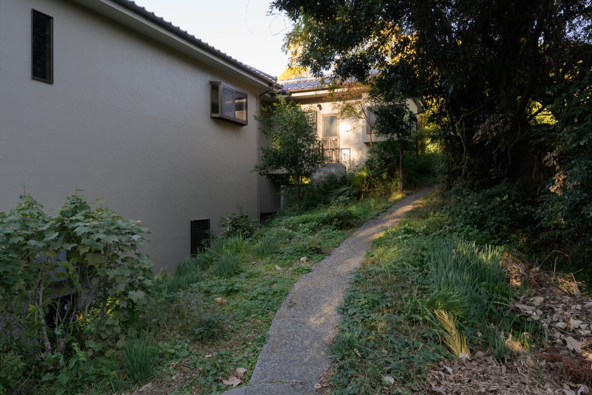 烏龍者 tweet media