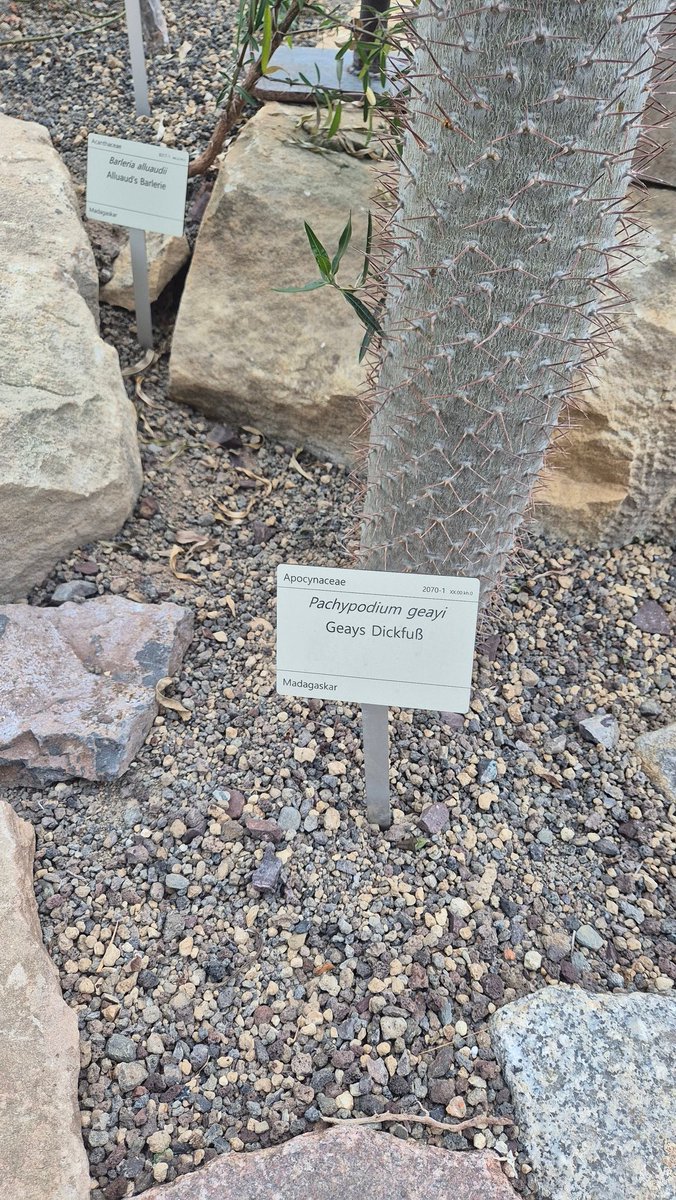 Bill Aids tweet media