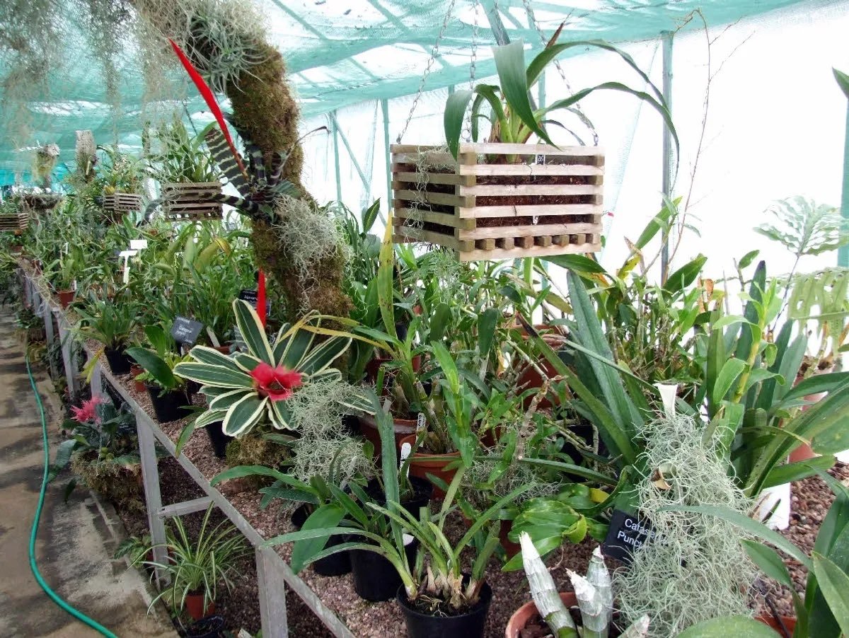 Liverpool Botanical Trust tweet media